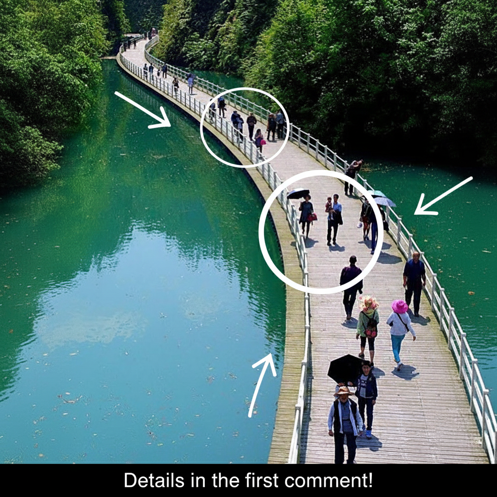 China’s Shiziguan Floating Bridge: A Marvel of Sustainable Engineering and Natural Beauty
