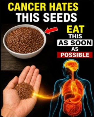 Seniors Are Raving About These 6 Seeds: The Daily Habit That Could Transform Your Health (Don't Miss Out!)