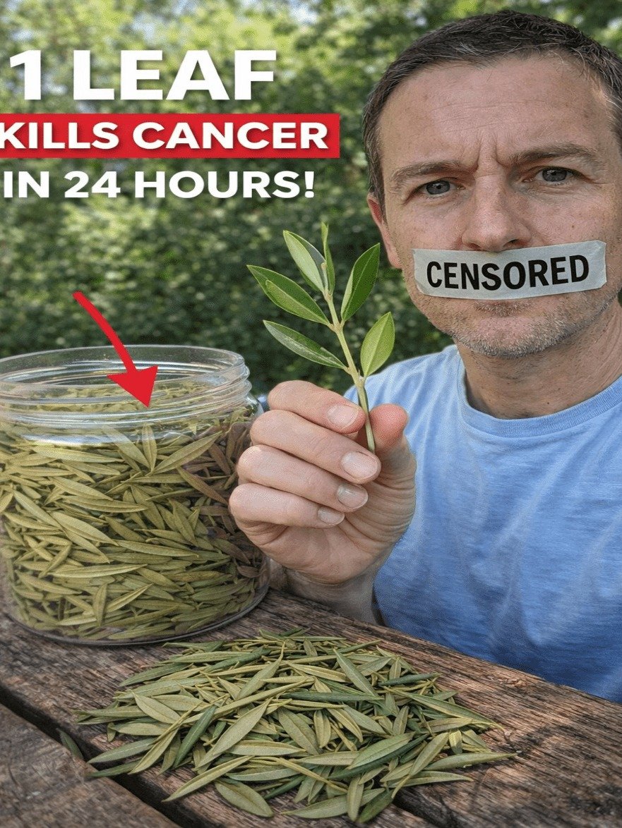 The #1 Overlooked Leaf That Could Transform Your Body's Cancer Defenses (And 14 More Life-Changing Strategies You Need NOW)