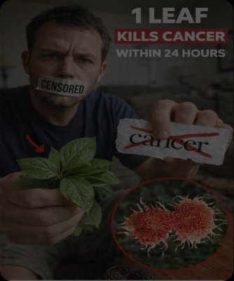 Barbara O'Neill's 'Hidden' Cancer Support Strategy: The 5 Natural Pillars Doctors Often Overlook (But You NEED to Know)