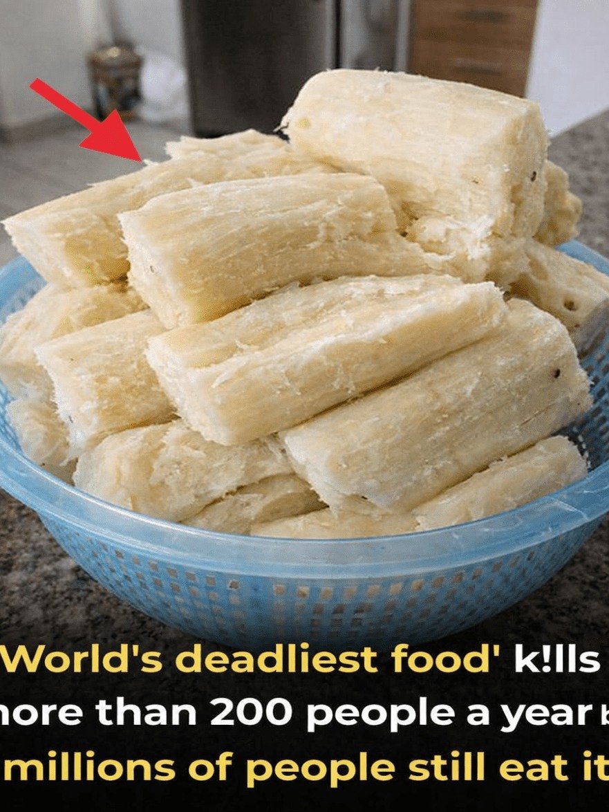 The World's 'Deadliest' Food: It Kills 200+ Annually, But 500 MILLION Eat It Daily – Here's How to Make It SAFE (You Won't Believe How Easy!)