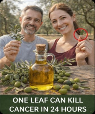 8 Hidden Benefits: Why Olive Leaf Might Be Your Body's Secret Weapon Against Life's Toughest Challenges