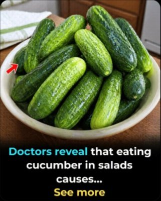 Doctors Are Silent No More: The Shocking Truth About What Daily Cucumber in Your Salad Does to Your Body