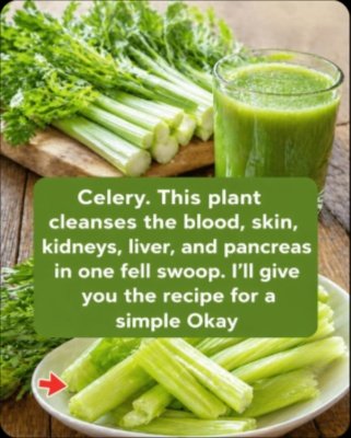 Woke Up Bloated & Sluggish? This 5-Minute Green Juice Is Your Secret Weapon for All-Day Energy and a Lighter Feel!