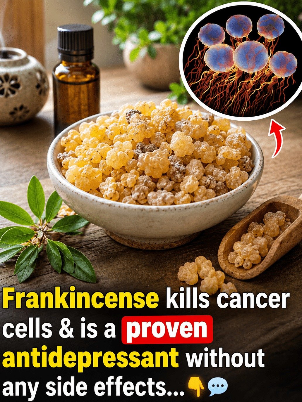 The Ancient Secret You're Missing: Why Frankincense Is Taking Over Modern Wellness