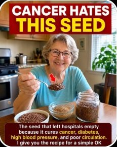 Unlock Unstoppable Energy: The 5 'Miracle' Seeds Experts Swear By (You're Missing Out!)